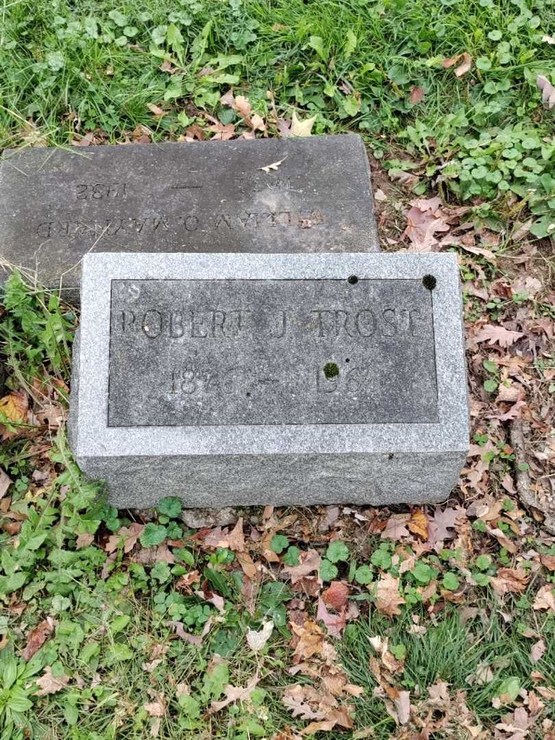 Robert J. Trost's grave. Photo 2