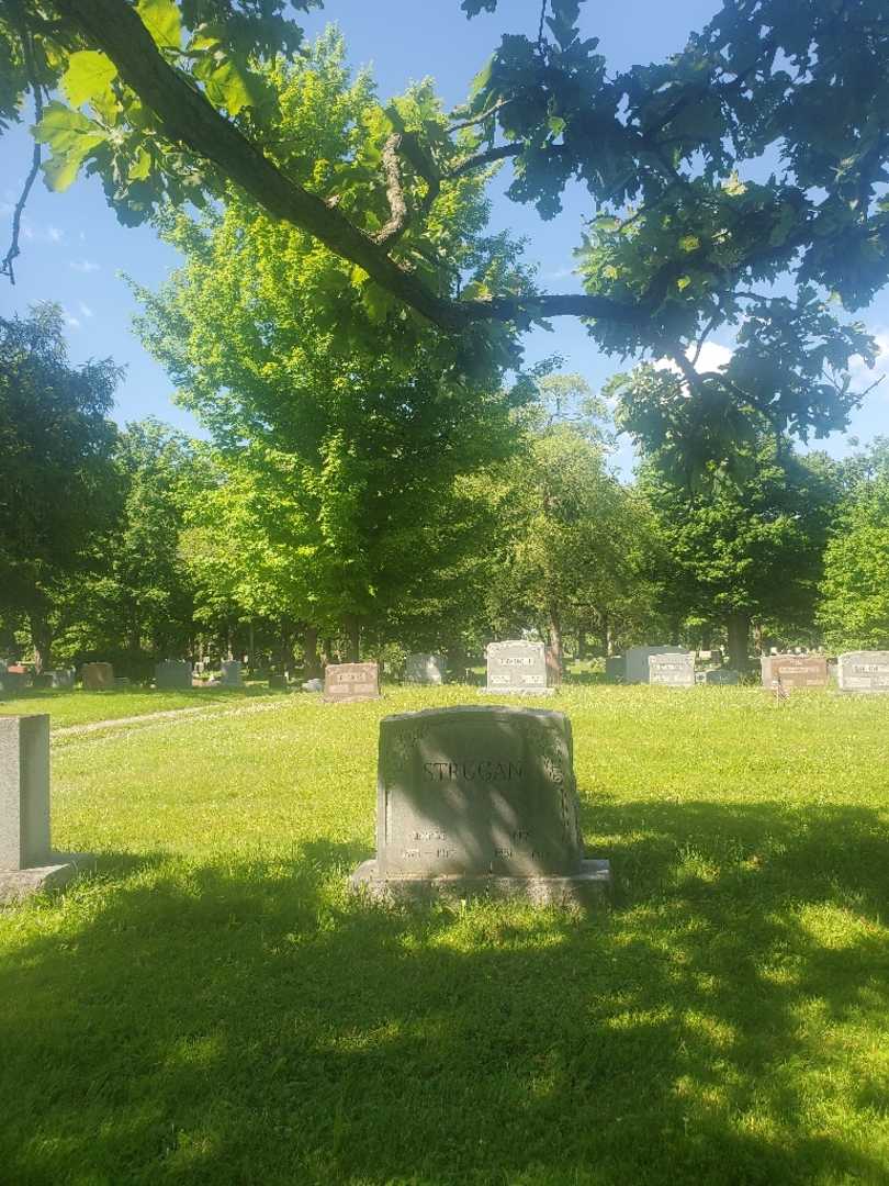 George Strugan's grave. Photo 1