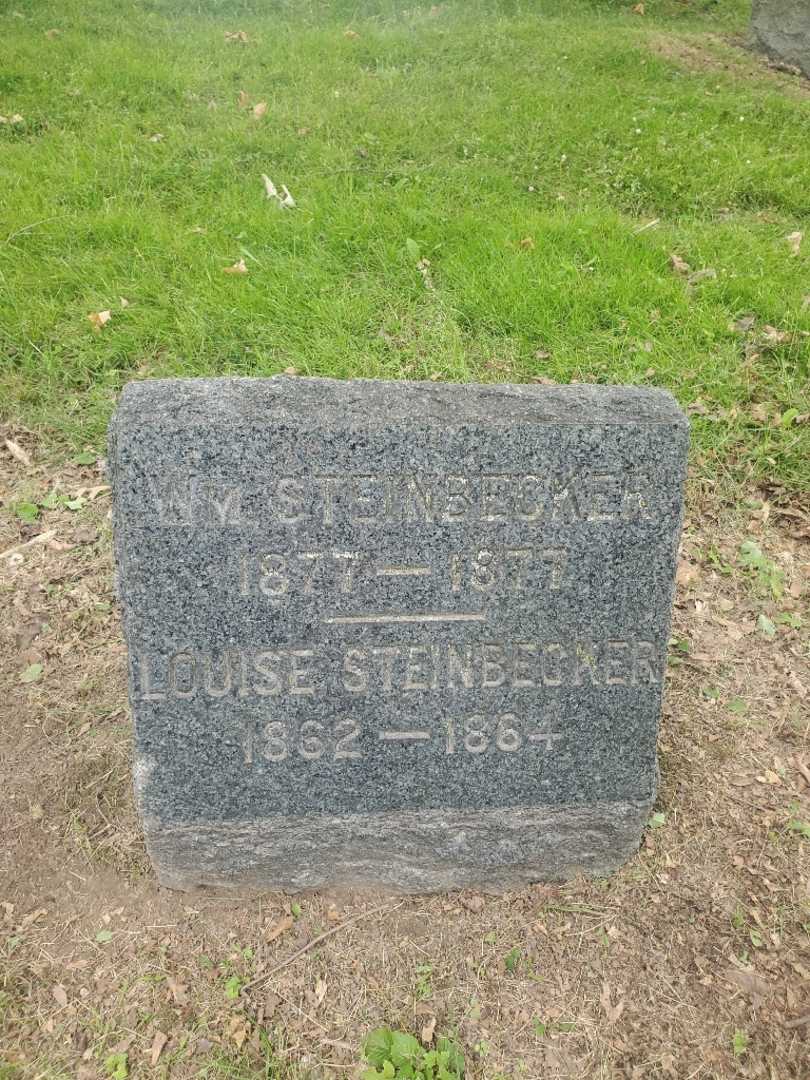 Louise Steinbicker's grave. Photo 3