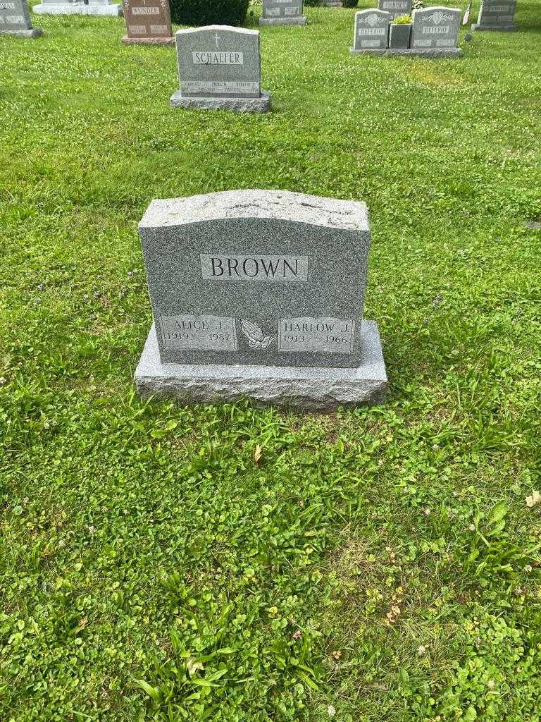 Alice J. Brown's grave. Photo 2
