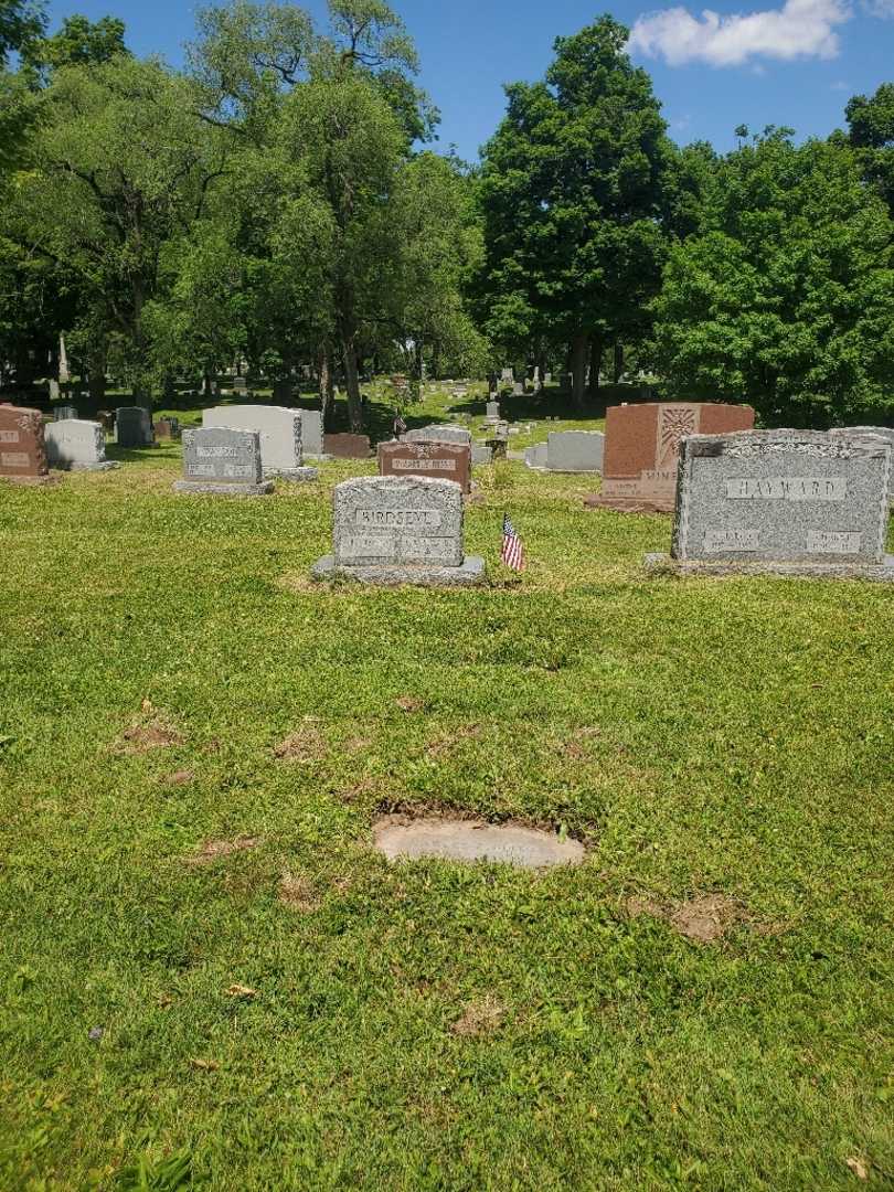 Charles E. Birdseye Junior's grave. Photo 1