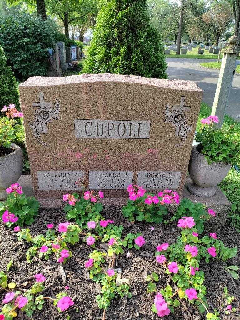 Dominic Cupoli's grave. Photo 2