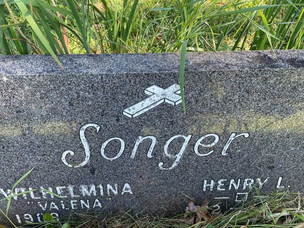 Henry L. Songer's grave. Photo 3
