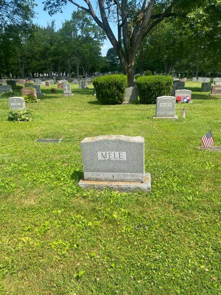 June E. Mele's grave. Photo 2