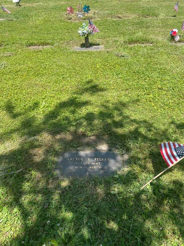 Archie F. Pelkey's grave. Photo 3
