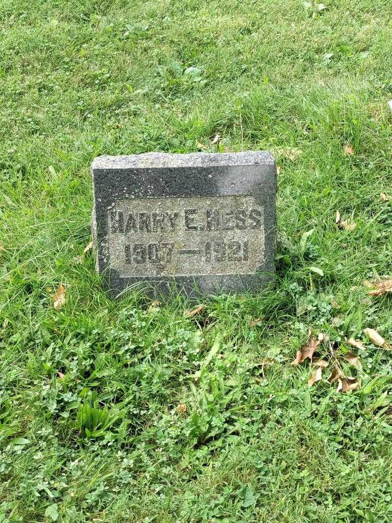 Harry E. Hess's grave. Photo 3