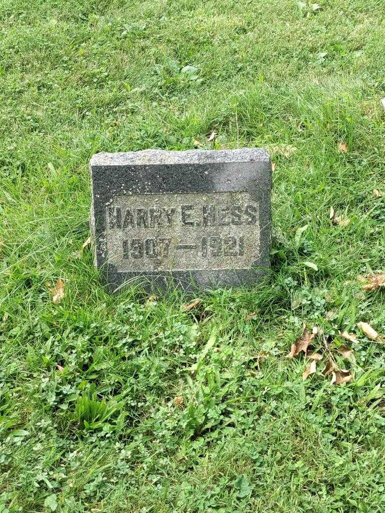 Harry E. Hess's grave. Photo 2