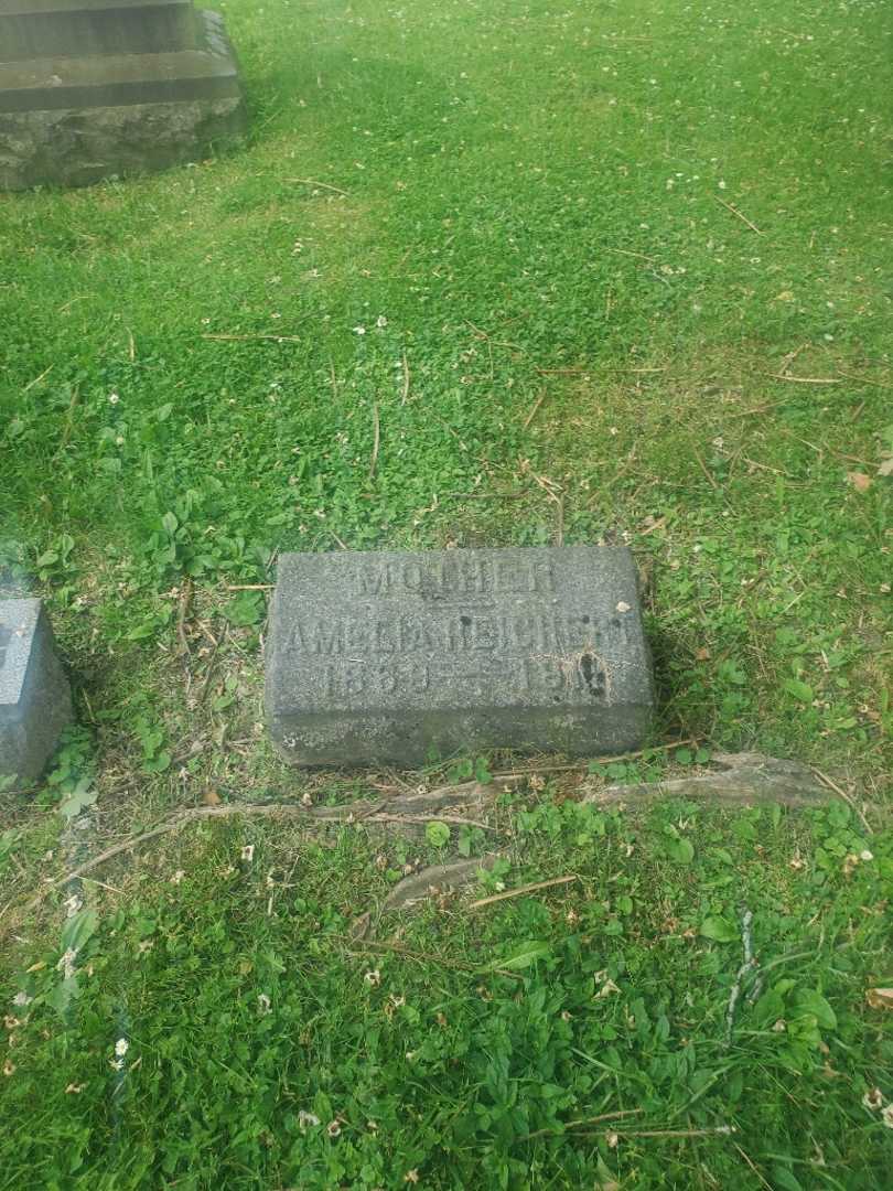 Amelia D. Reichert's grave. Photo 3