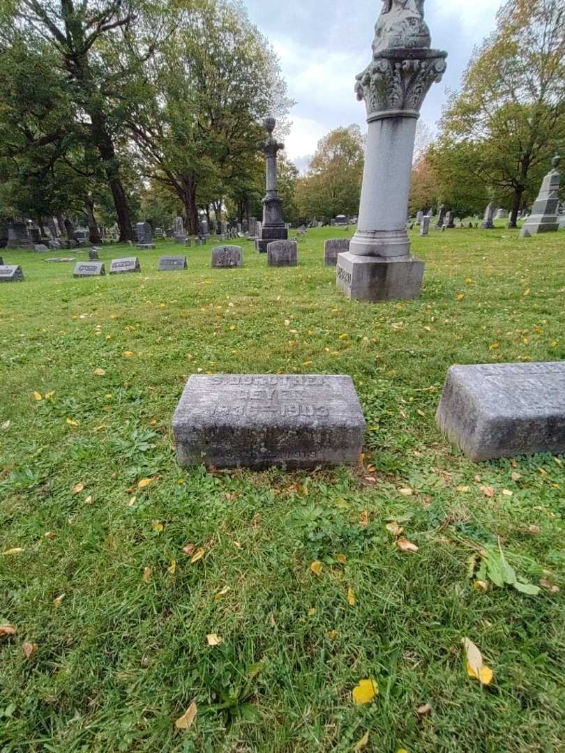Julius H. Geyer's grave. Photo 1