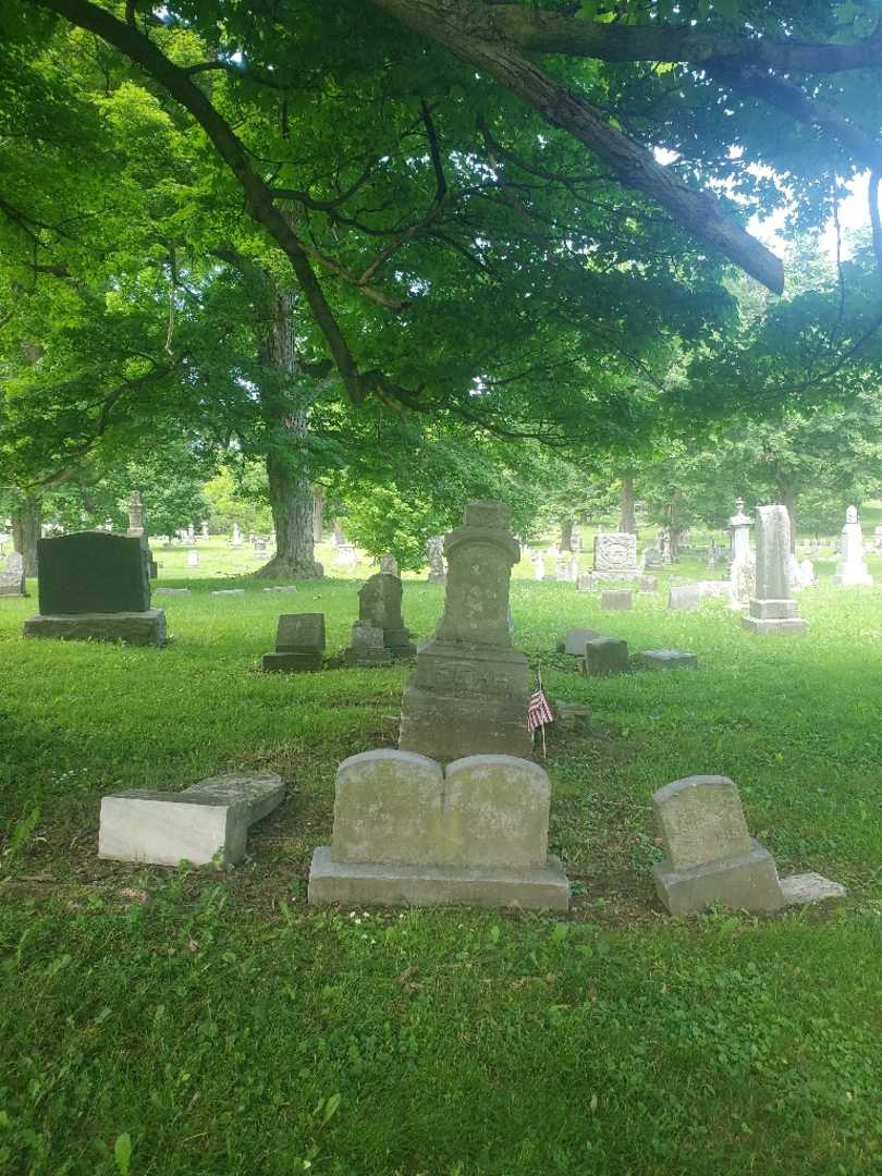 William Sehr's grave. Photo 2