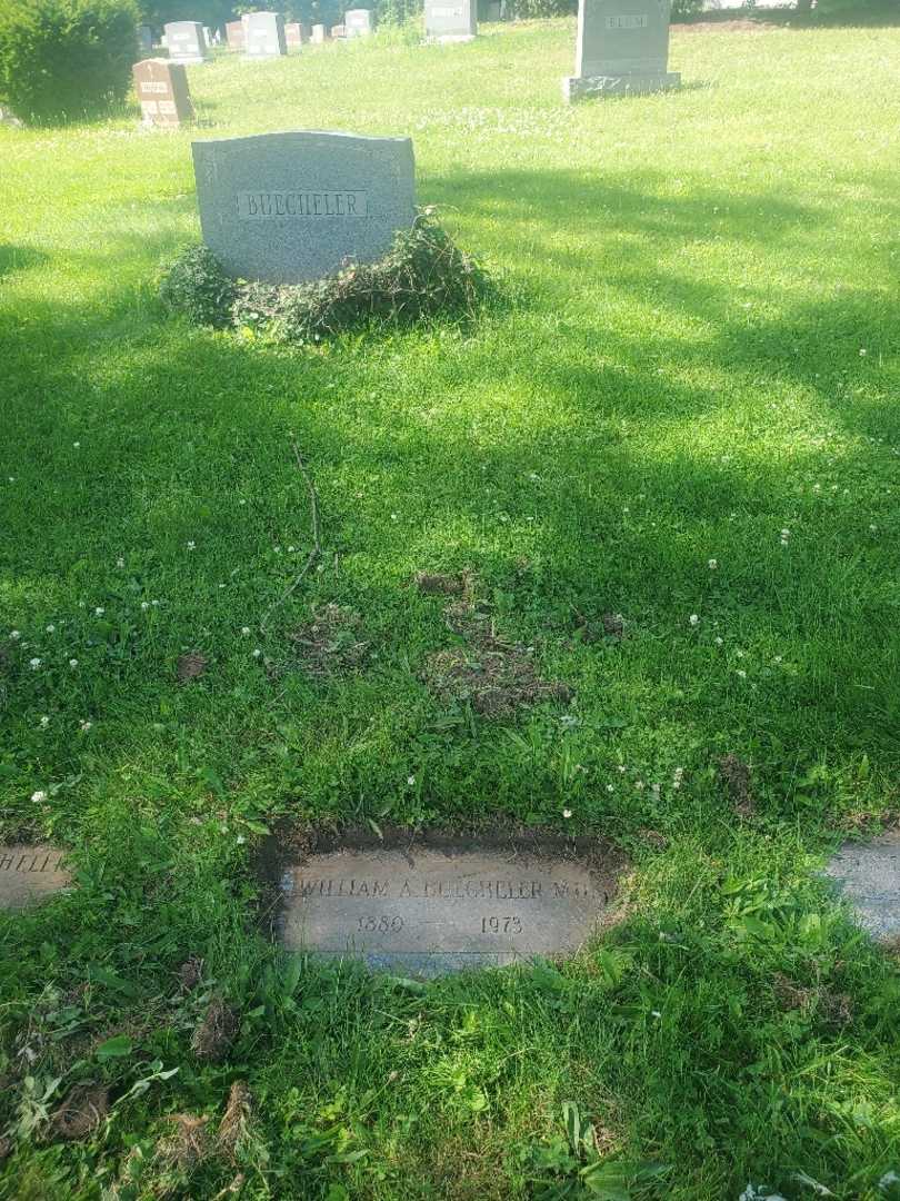 Doctor William A. Buecheler's grave. Photo 2
