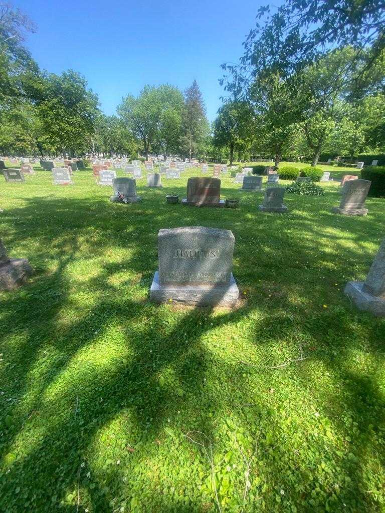 Clarence T. Halicus's grave. Photo 1