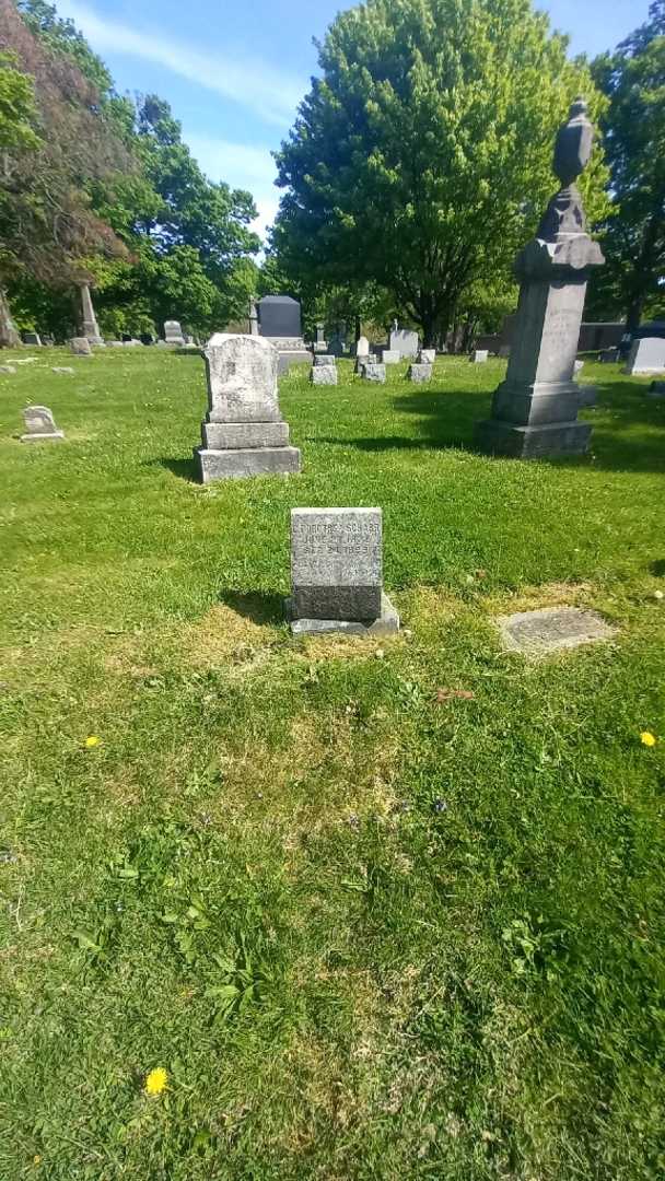 C. Dorothea Scharr's grave. Photo 1