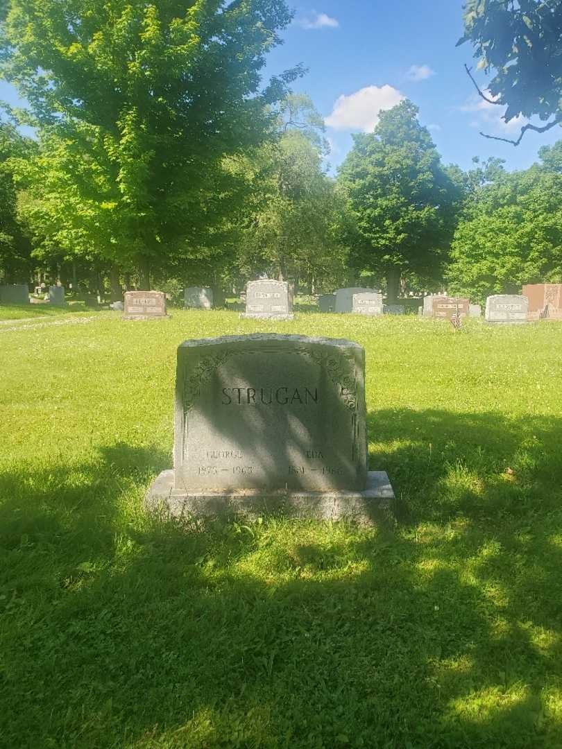 George Strugan's grave. Photo 2