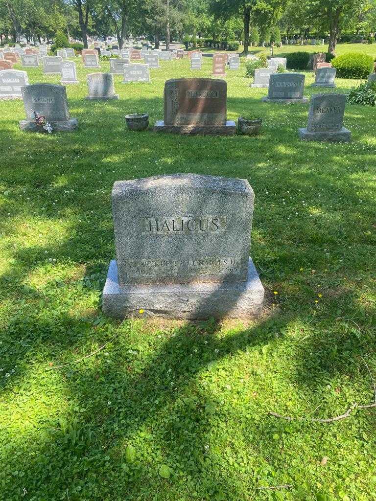 Clarence T. Halicus's grave. Photo 2
