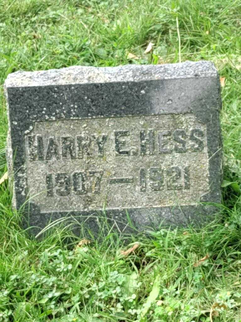 Harry E. Hess's grave. Photo 3