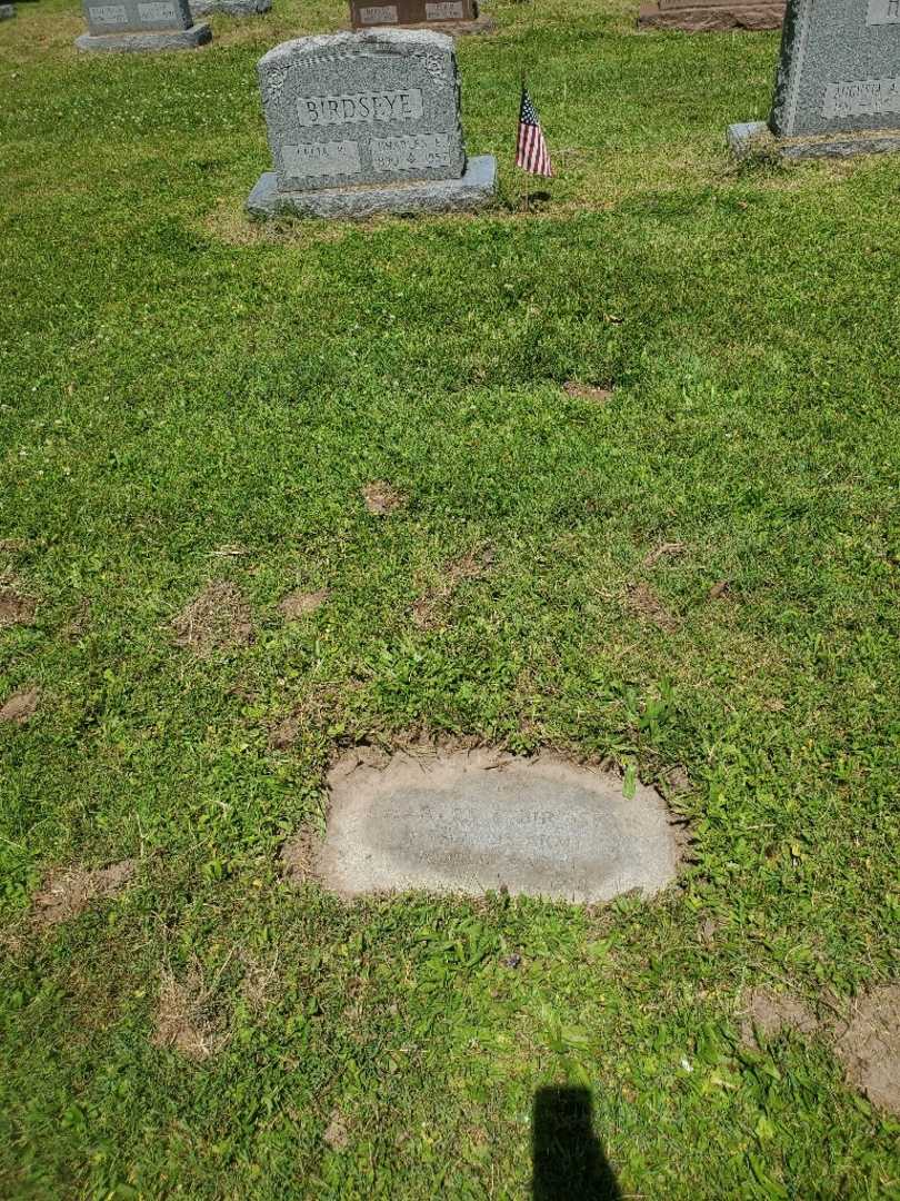 Charles E. Birdseye Junior's grave. Photo 2