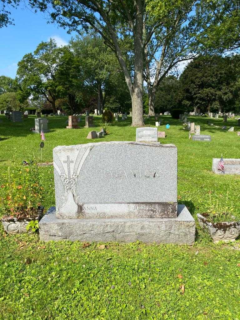 Joseph Palanick's grave. Photo 2