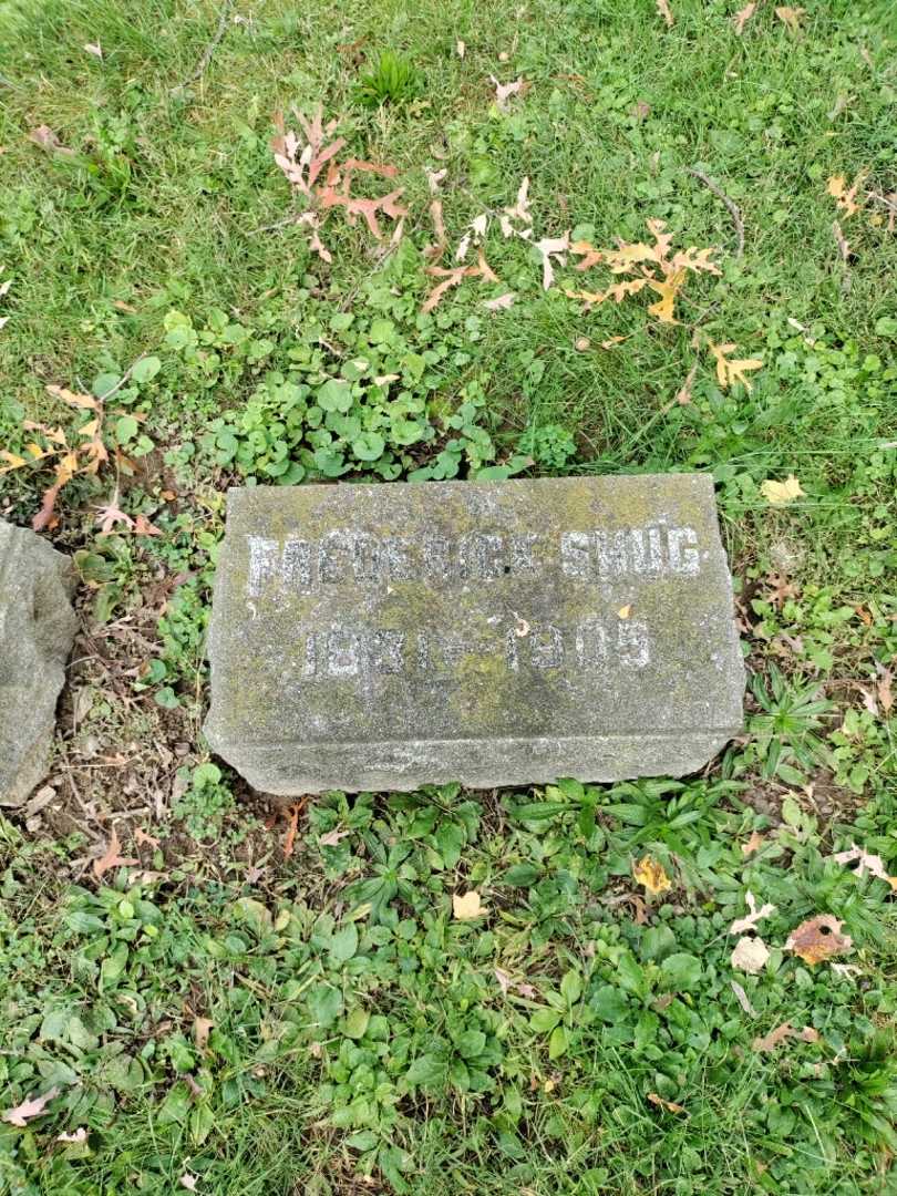 Frederick Shug's grave. Photo 2