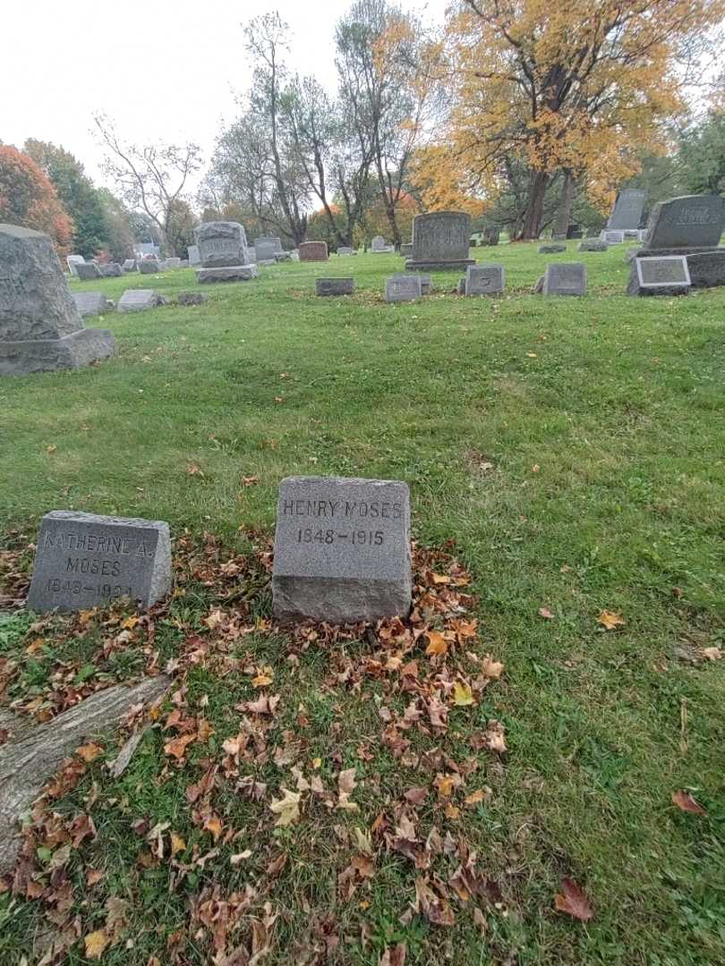 Henry Moses's grave. Photo 1