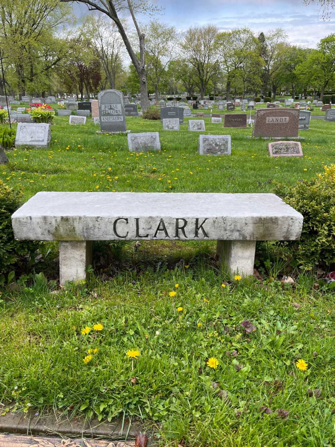 Nelson L. Clark's grave. Photo 4