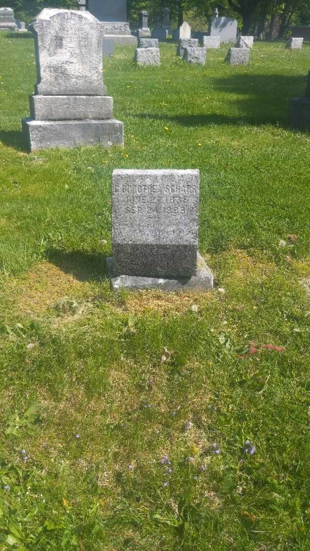 C. Dorothea Scharr's grave. Photo 3