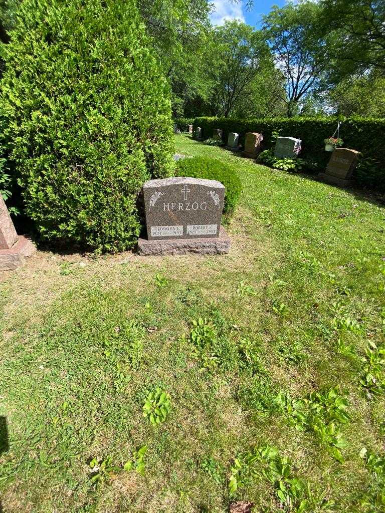Robert J. Herzog's grave. Photo 1