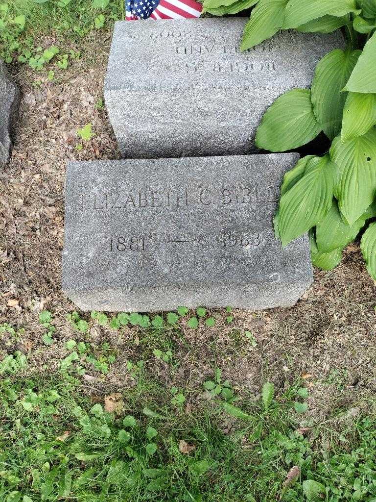 Elizabeth C. Bibley's grave. Photo 1