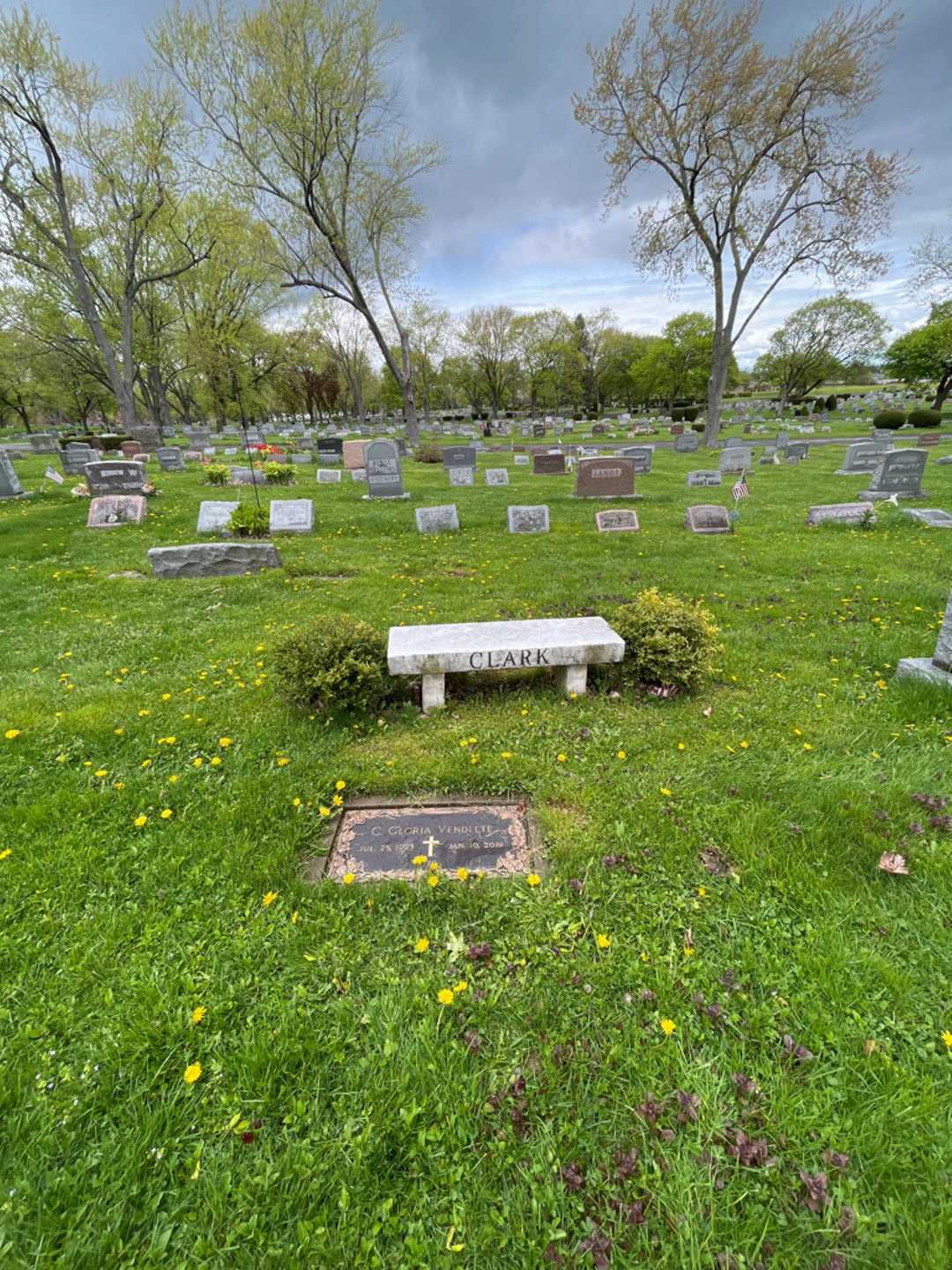 Catherine Gloria Venditte's grave. Photo 5