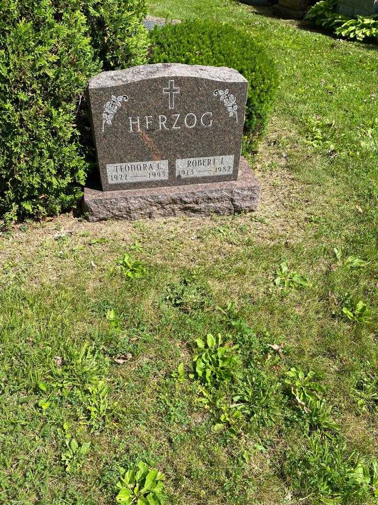 Robert J. Herzog's grave. Photo 2