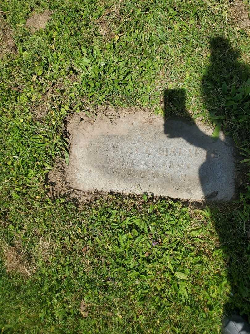 Charles E. Birdseye Junior's grave. Photo 3