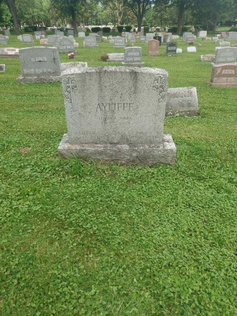 Eleanor Jones's grave. Photo 5
