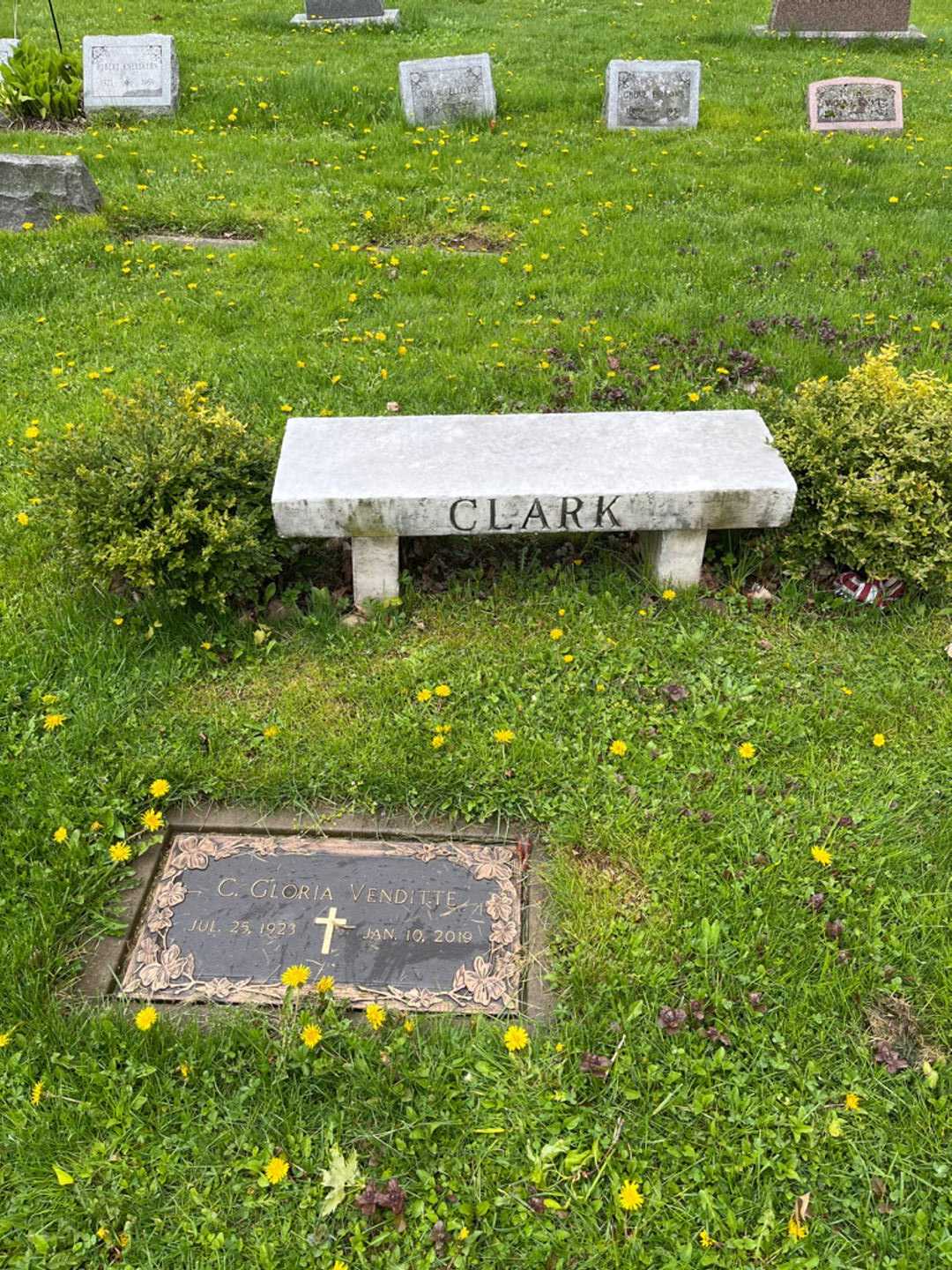 Nelson L. Clark's grave. Photo 6