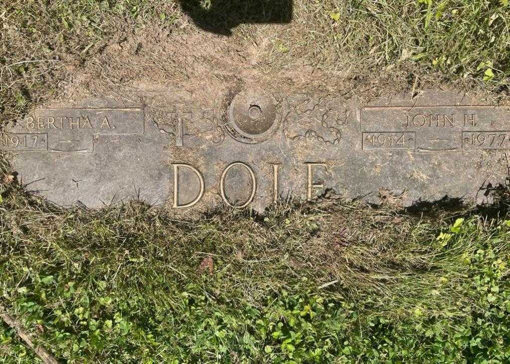 John H. Dole's grave. Photo 1
