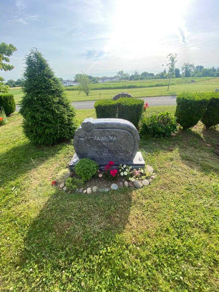 Lajos Szabo's grave. Photo 1