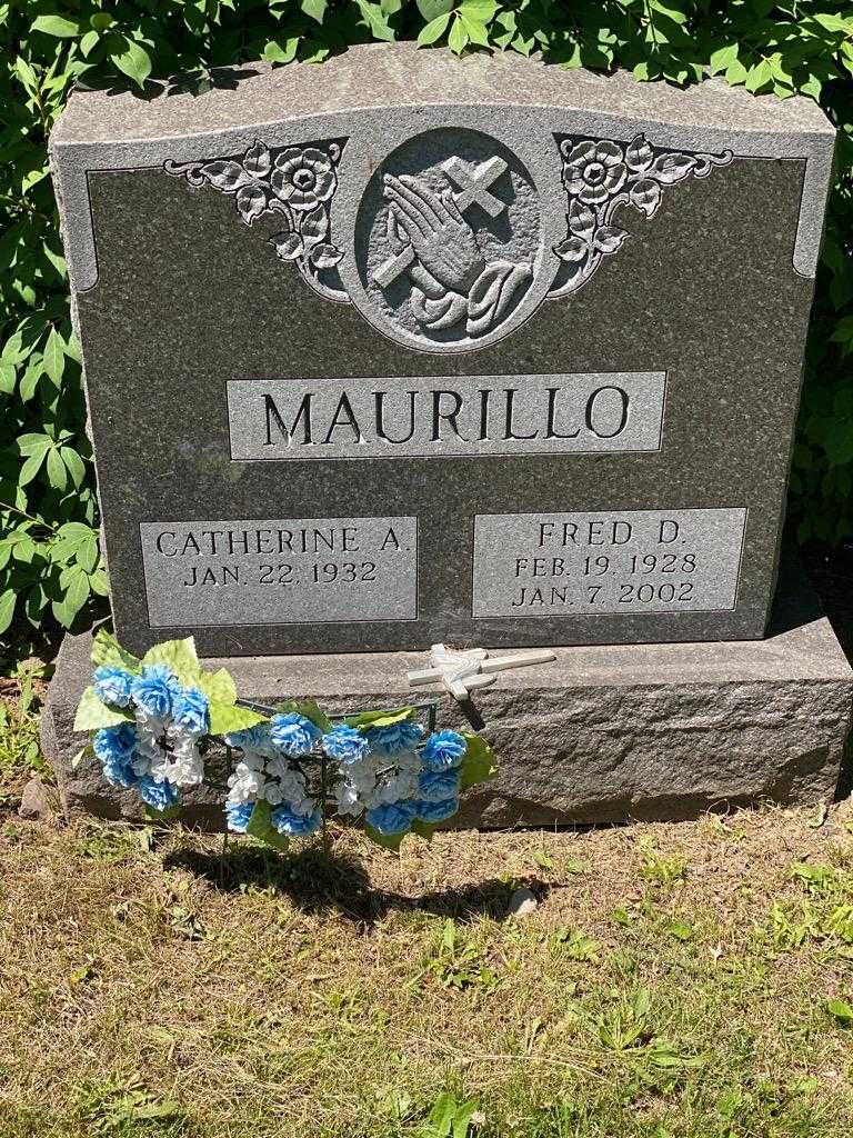 Fred D. Maurillo's grave. Photo 3