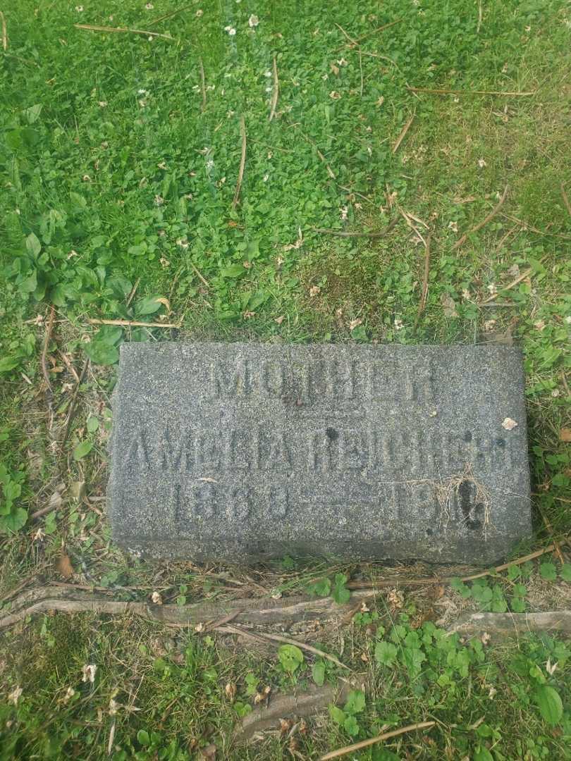 Amelia D. Reichert's grave. Photo 4