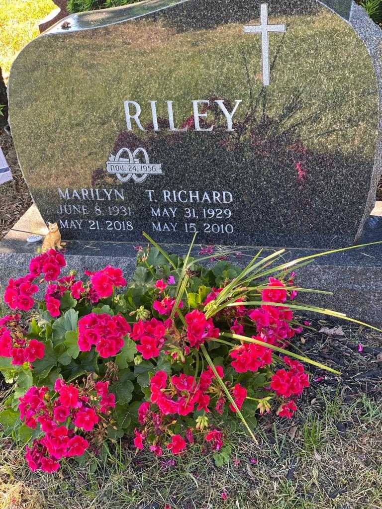 Marilyn Riley's grave. Photo 3