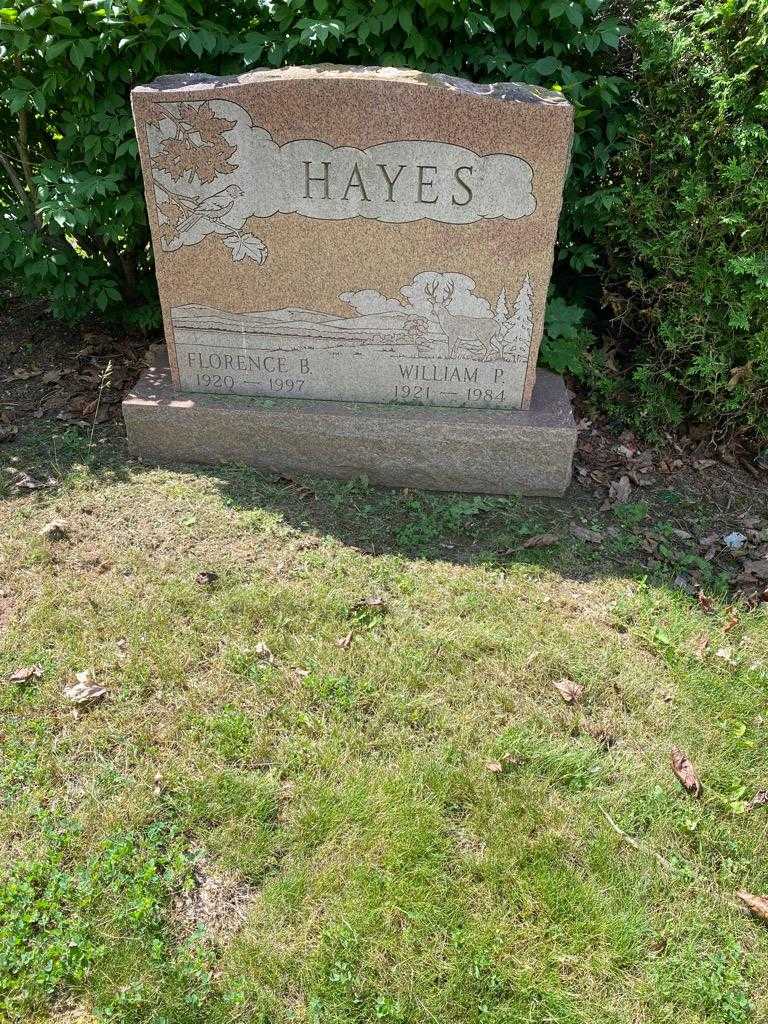 William P. Hayes's grave. Photo 2
