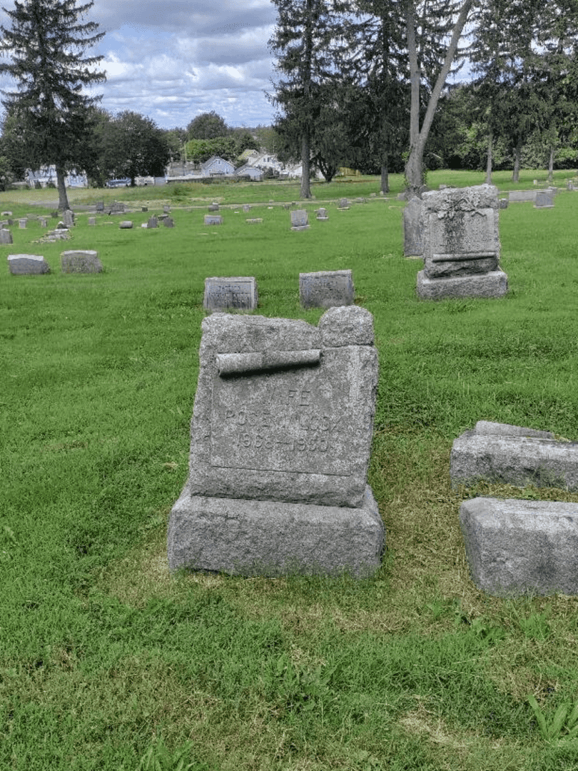 Rose A. Wilcox's grave. Photo 3