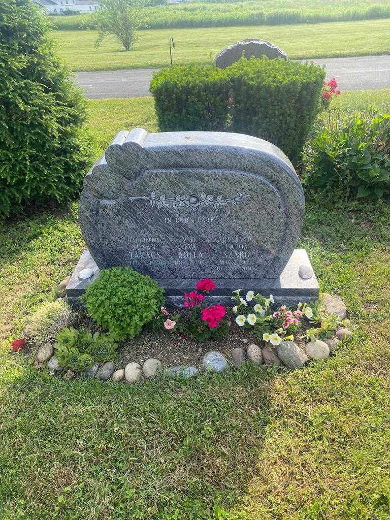 Lajos Szabo's grave. Photo 2