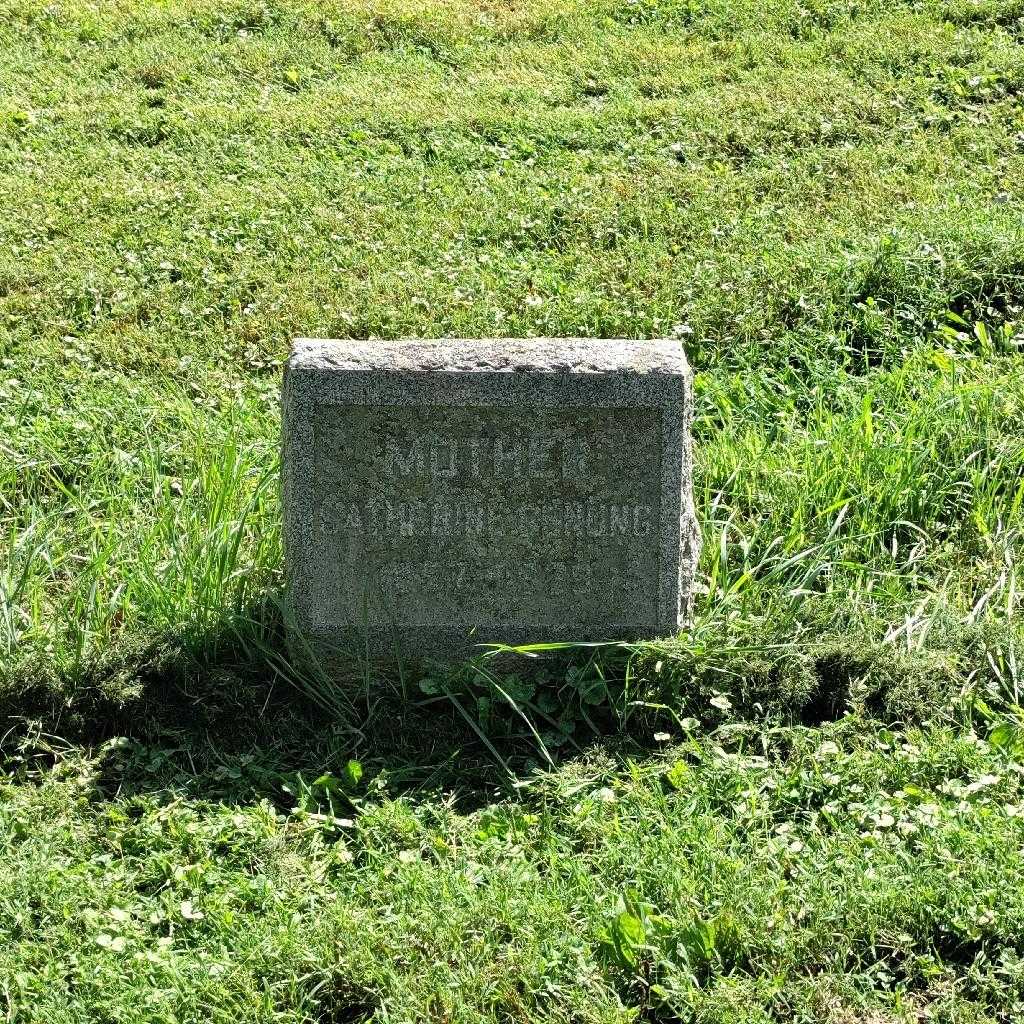 Catherine Genung's grave. Photo 3