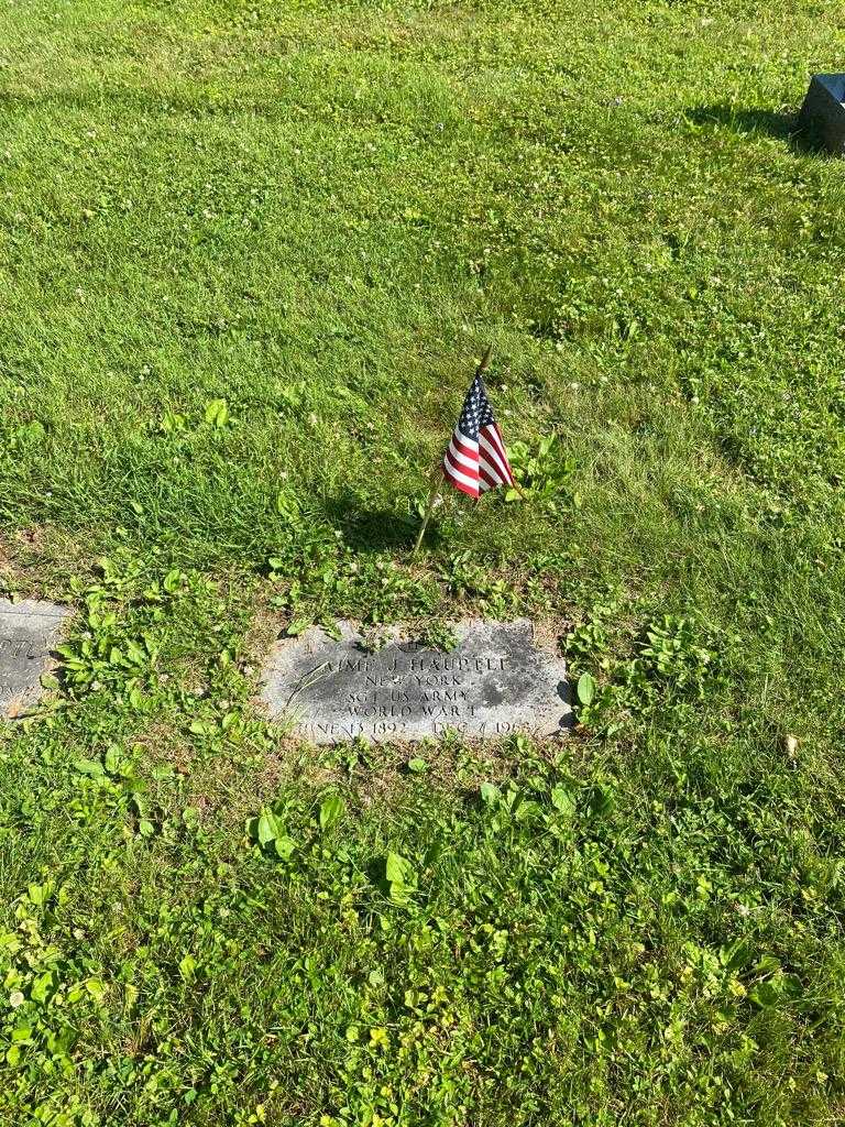 Aime J. Hauptli's grave. Photo 2