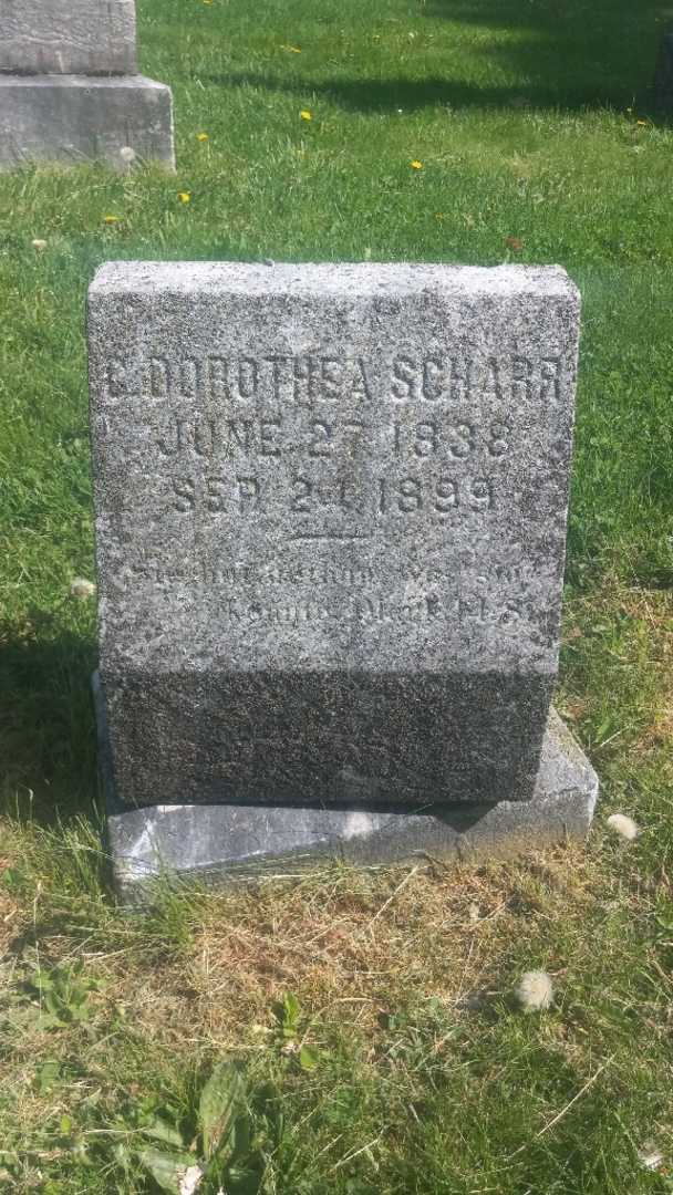 C. Dorothea Scharr's grave. Photo 4