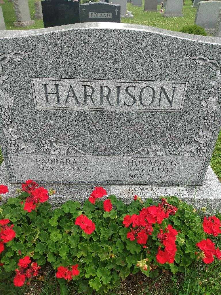 Howard P. Harrison's grave. Photo 3