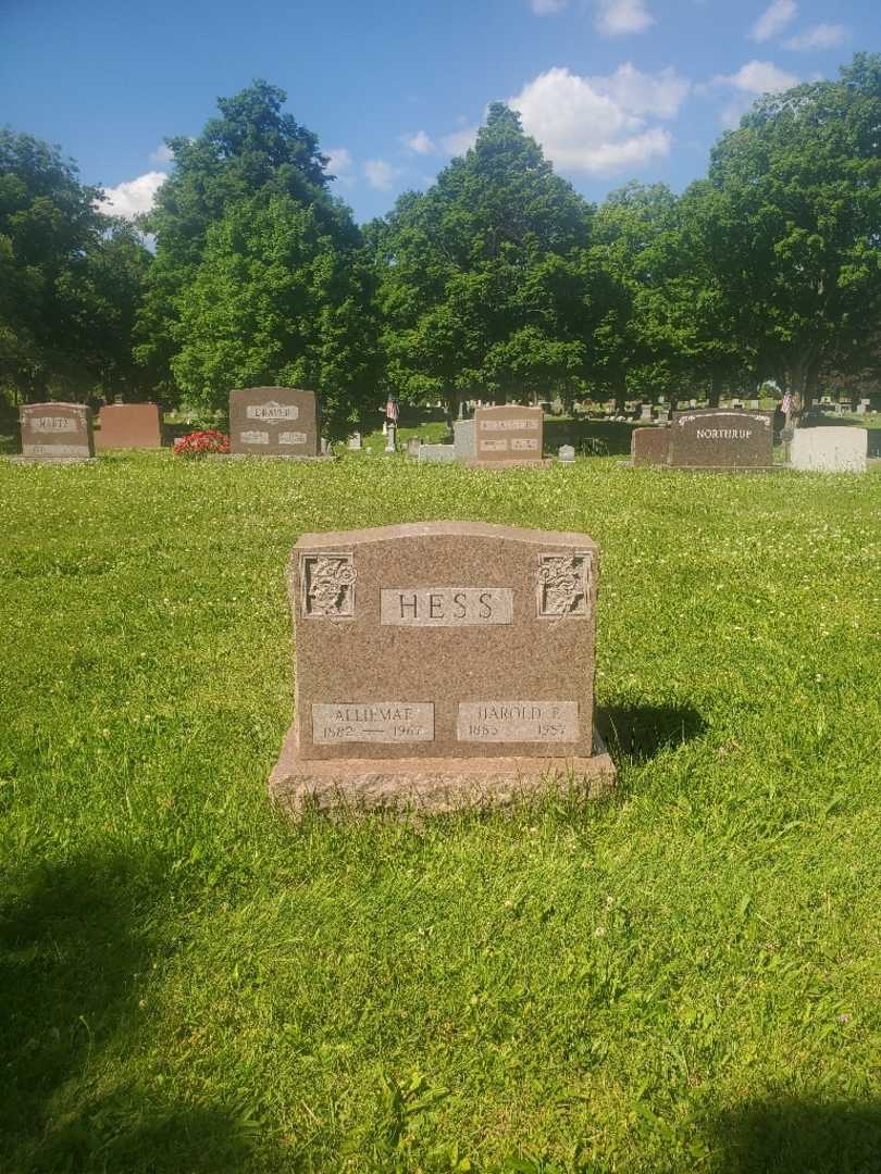 Alliemae Hess's grave. Photo 2