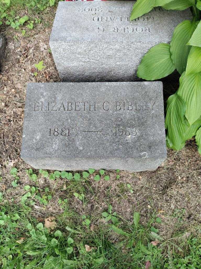 Elizabeth C. Bibley's grave. Photo 3