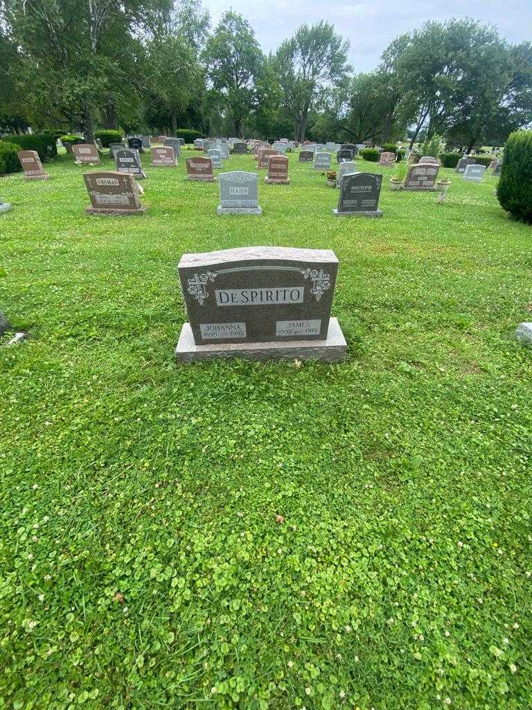 Johanna DeSpirito's grave. Photo 1