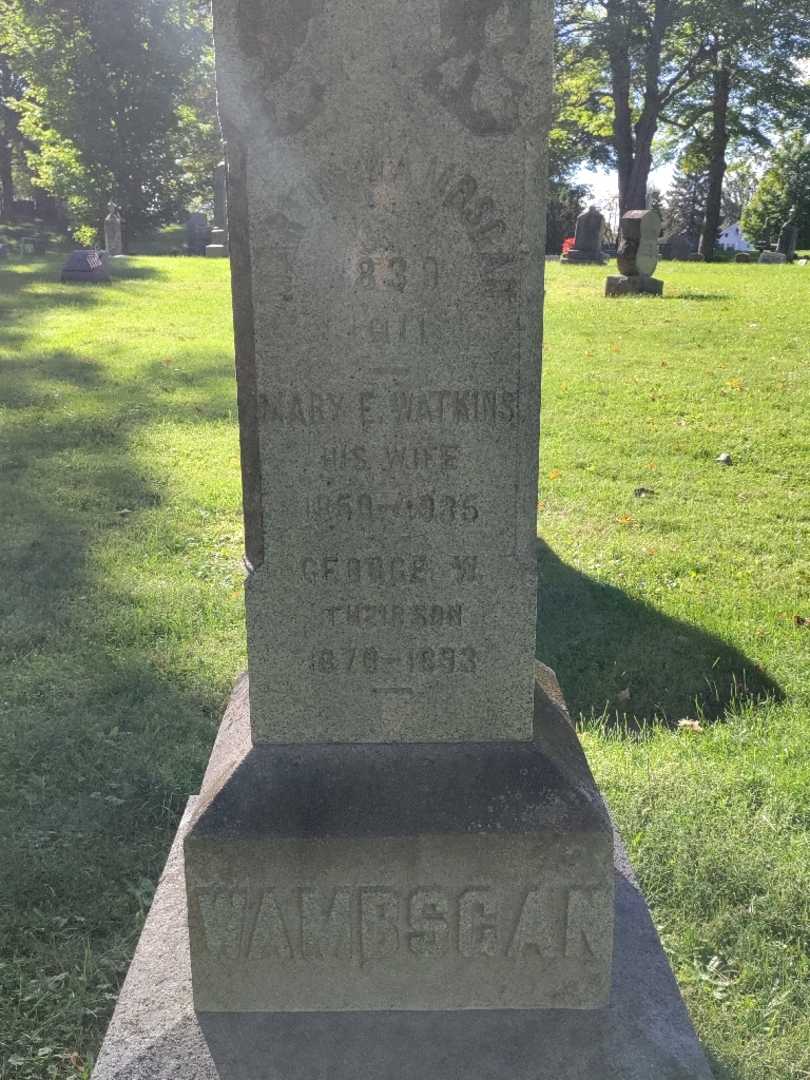 George W. Wambsgan's grave. Photo 3