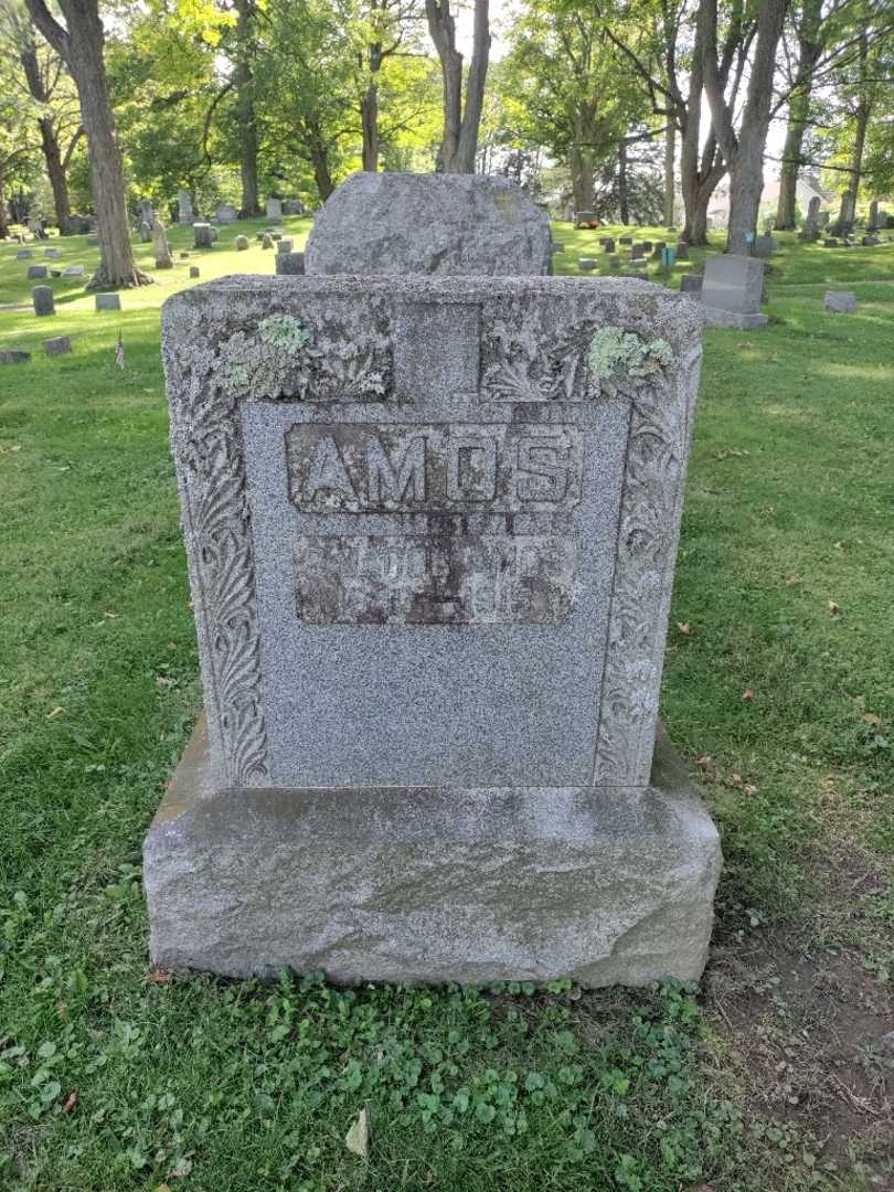 George J. Amos's grave. Photo 2